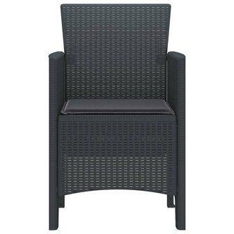 Tuinstoel 2 pcs Antraciet 53 x 49 x 85 cm PP 6