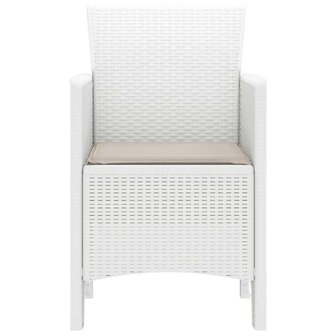 Tuinstoel 2 pcs Wit 53 x 49 x 85 cm PP 6