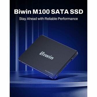 Hard Drive Biwin M100 256 GB SSD 5