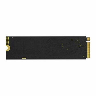 Hard Drive Biwin BM350NN500G-RGX 500 GB SSD 4