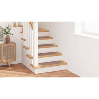 Antislip Trapmatten 15 pcs Lichtbruin 60 x 25 cm PP 5