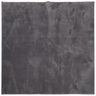 Vloerkleed HUARTE laagpolig zacht wasbaar 120x120 cm antraciet 2