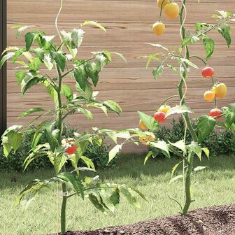 Spiraalvormige plantensteunen 5 pcs Zilver 150 cm 4