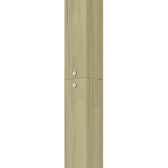Pergola 410x40x203 cm hout 5