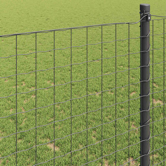 Euro Hek Grijs 0.4 x 10 m PVC-gecoat ijzer 4
