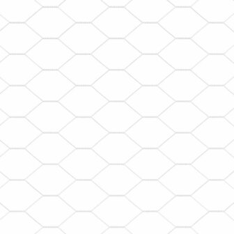 Zeskantig hekwerk Zilver 1.5 x 10 m Gegalvaniseerd staal 7