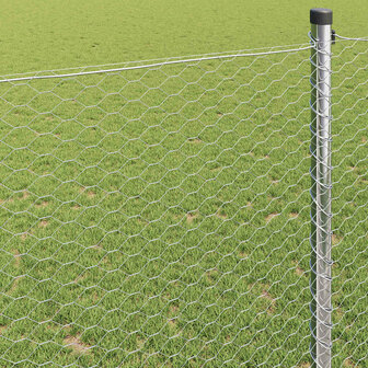 Hexagon Hek Zilver 0.4 x 25 m Gegalvaniseerd staal 4