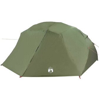 Vistent met dak Olijfgroen 514 x 465 x 187 cm Polyester 2
