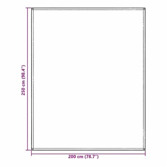Tenttapijt Blauwgrijs 250 x 200 cm Polyetheen 9