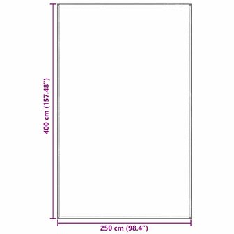 Tenttapijt Lichtgrijs 250 x 400 cm Polyetheen 9
