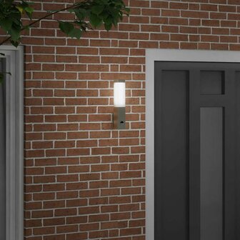 Buitenwandlamp Zilver 10.5 x 6 x 35 cm Roestvrij staal 3