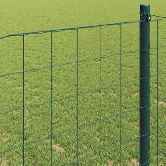 Euro Hek Groen 0.4 x 10 m PVC-gecoat ijzer 4
