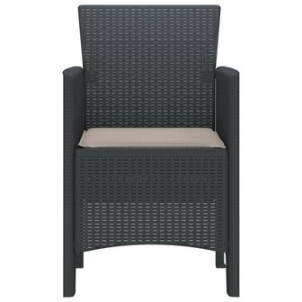 Tuinstoel 2 pcs Antraciet 53 x 49 x 85 cm PP 6