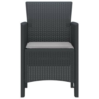 Tuinstoel 2 pcs Antraciet 53 x 49 x 85 cm PP 6