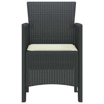 Tuinstoel 2 pcs Antraciet 53 x 49 x 85 cm PP 6