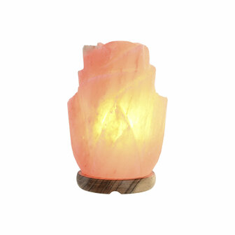 Bureaulamp Home ESPRIT Roze 15 W 220 V 2