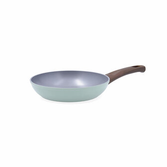 Pan Quid Ozon Groen Metaal Gehard aluminium 20 cm 1