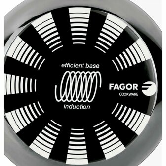Pan FAGOR Indutherm Zwart Ge&euml;mailleerd Staal (&Oslash; 24 cm) 4