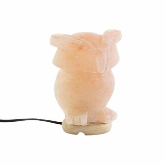 Bureaulamp DKD Home Decor Roze Zout Acacia 15 W 220 V 14 x 14 x 18 cm 1
