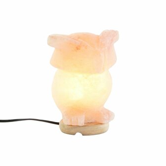 Bureaulamp DKD Home Decor Roze Zout Acacia 15 W 220 V 14 x 14 x 18 cm 5
