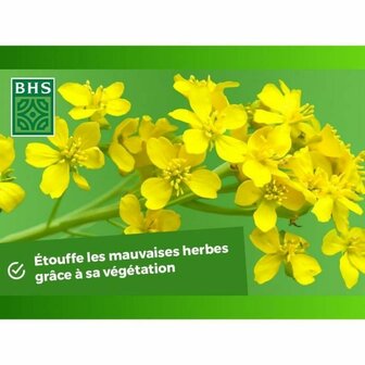 Kunstmest voor planten BHS 500 g 4