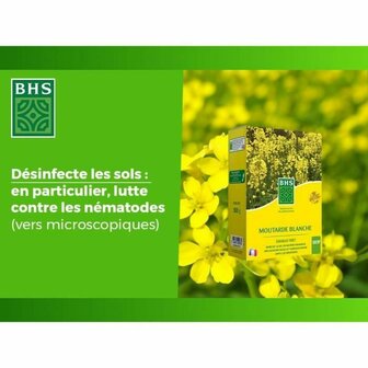 Kunstmest voor planten BHS 500 g 5