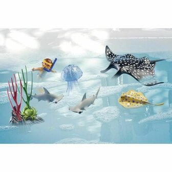 Playset Playmobil 3