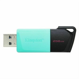 USB stick Kingston DTXM/256GB Zwart 256 GB 1