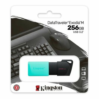 USB stick Kingston DTXM/256GB Zwart 256 GB 2