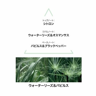 Damesparfum Le Couvent des Minimes 3