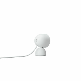 Beveiligingscamera Google Nest Cam 5