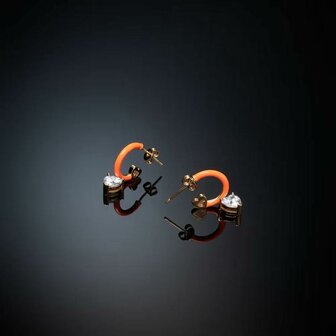 Dames oorbellen Chiara Ferragni 4