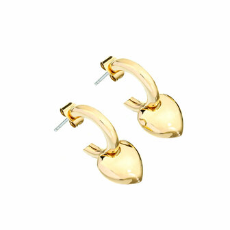 Dames oorbellen Chiara Ferragni J19AXP06 1