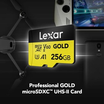 SD Geheugenkaart Lexar LMSGOLD256G-BNNNG 256 GB 4