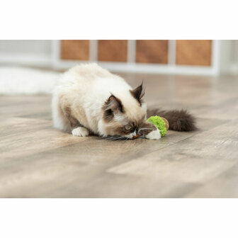 Kattenspeeltje Trixie Lolli XXL Groen 7