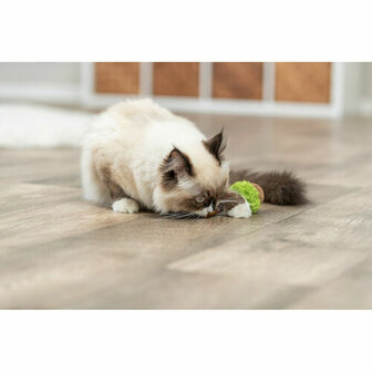 Kattenspeeltje Trixie Lolli XXL Groen 8