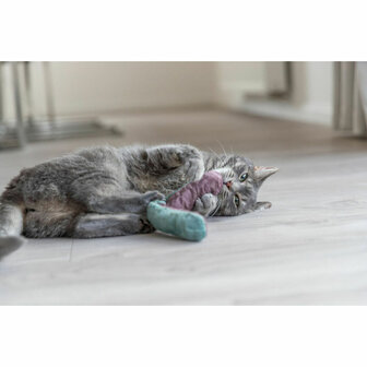 Kattenspeeltje Trixie 5