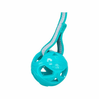 Hondenspeelgoed Trixie Turkoois &oslash; 6 x 23 cm Klot 5