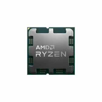Processor AMD 100-100000591WOF AMD Ryzen 7 7700X AMD AM5 3