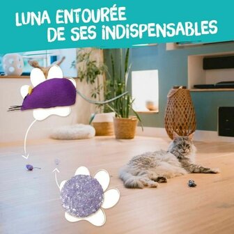 Kattenspeeltje Aim&eacute; Multicolour 7 Onderdelen 5