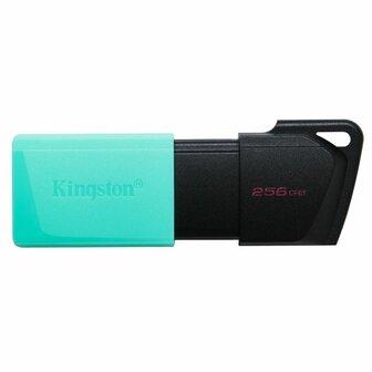 USB stick Kingston DataTraveler DTXM 256 GB 256 GB 3