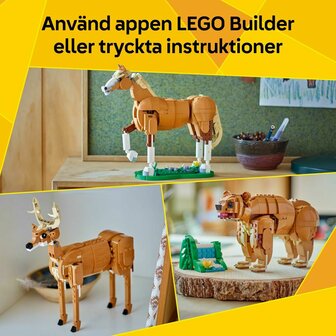 Bouwspel Lego CREATOR 31166 Beautiful Horse 8