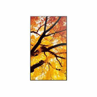 Videowall Monitor Sharp 60006053 4K Ultra HD 42,5&quot; 1