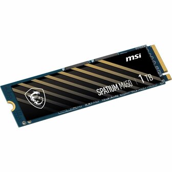 Hard Drive MSI SPATIUM M450 500 GB SSD 2