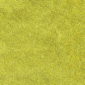 Antislip Badmat met Toilet Cut Groen 50 x 50 cm PP 8