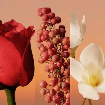 Herenparfum Calvin Klein 30 ml 4