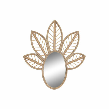 Wandspiegel DKD Home Decor Bruin Kristal Natuurlijk Tropisch Blad van een plant 60 x 2 x 67 cm 1