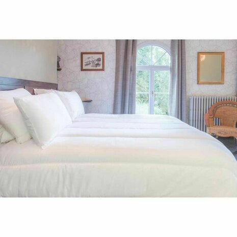 Dekbed Blanreve 350 g/m² 140 x 200 cm 2