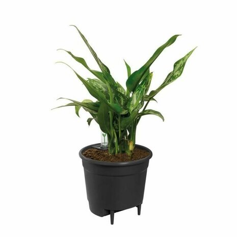 Bloempot Elho Zwart Polypropyleen Cirkelvormig Modern Ø 21 cm 21 cm 4