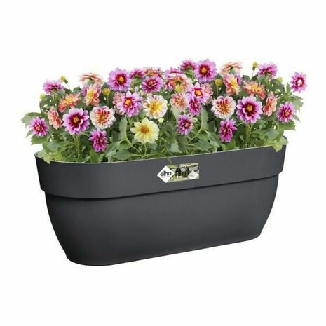 Bloempot Elho Antraciet 24 x 46 x 26,5 cm 3